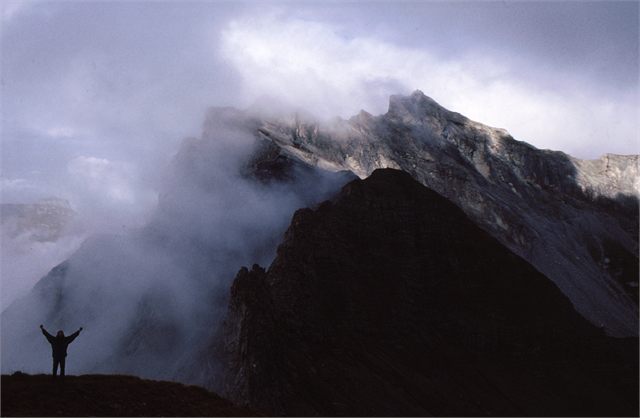 silueta Naafkopf